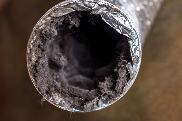 Best Local Air Duct Cleaning Services  in Glasgow, DE